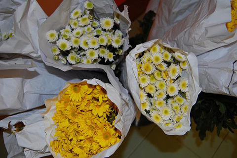 Buy daisy bouquets milwaukee